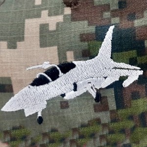 ǰ 