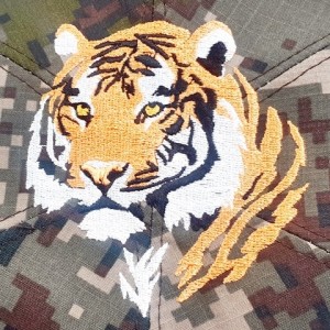 ��ǰ ������