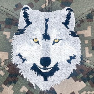 ��ǰ ������