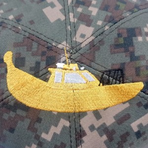 ��ǰ ������