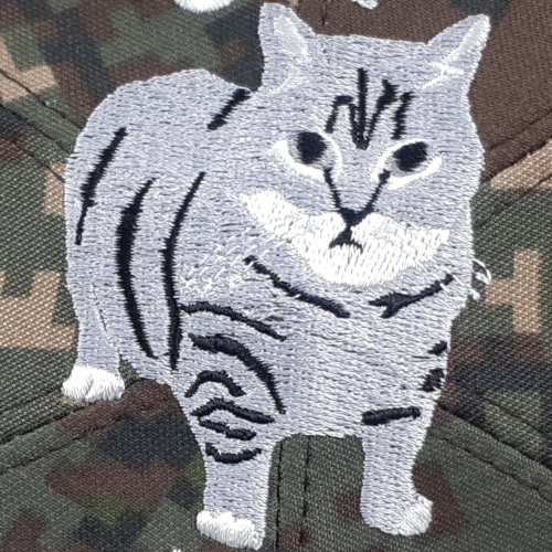 ��ǰ ������