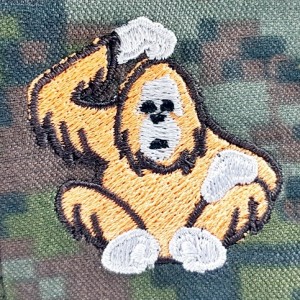 ��ǰ ������