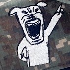 ��ǰ ������