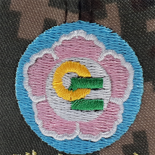 ��ǰ ������